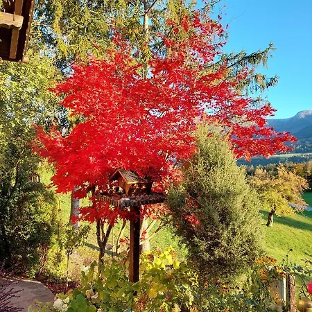 Gaestehaus Wieser Haus im Ennstal