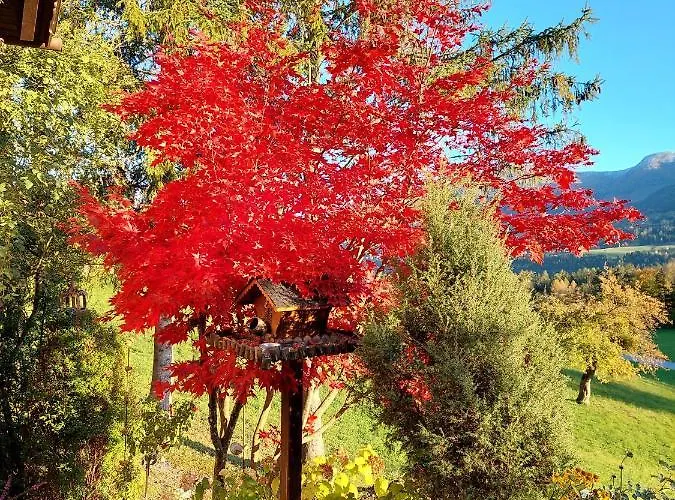 Gaestehaus Wieser هاوس إم إنيستال